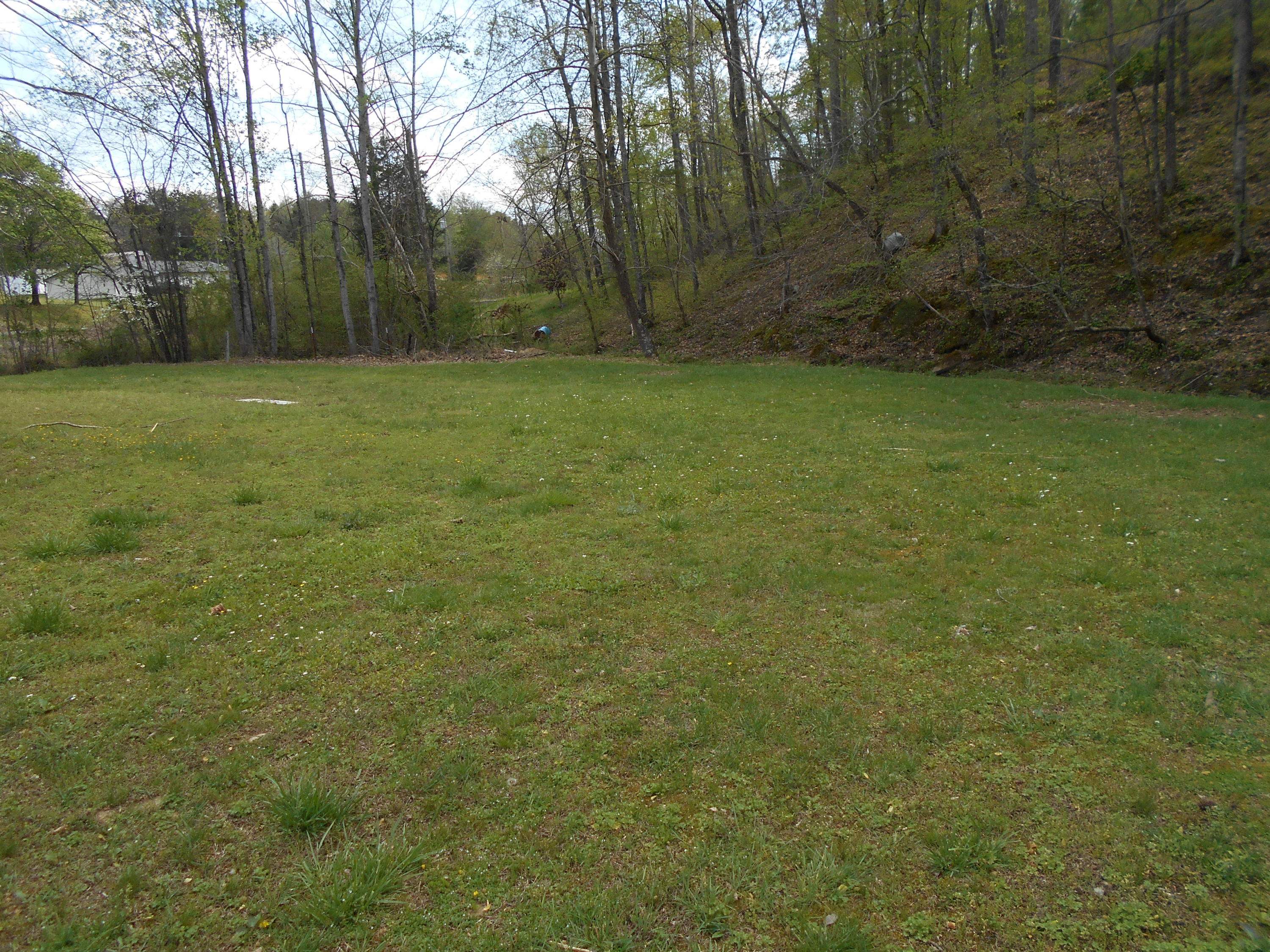 Lot # Shadden Road Tellico Plains, TN 37385 - Photo 4 of 17 DSCN1042