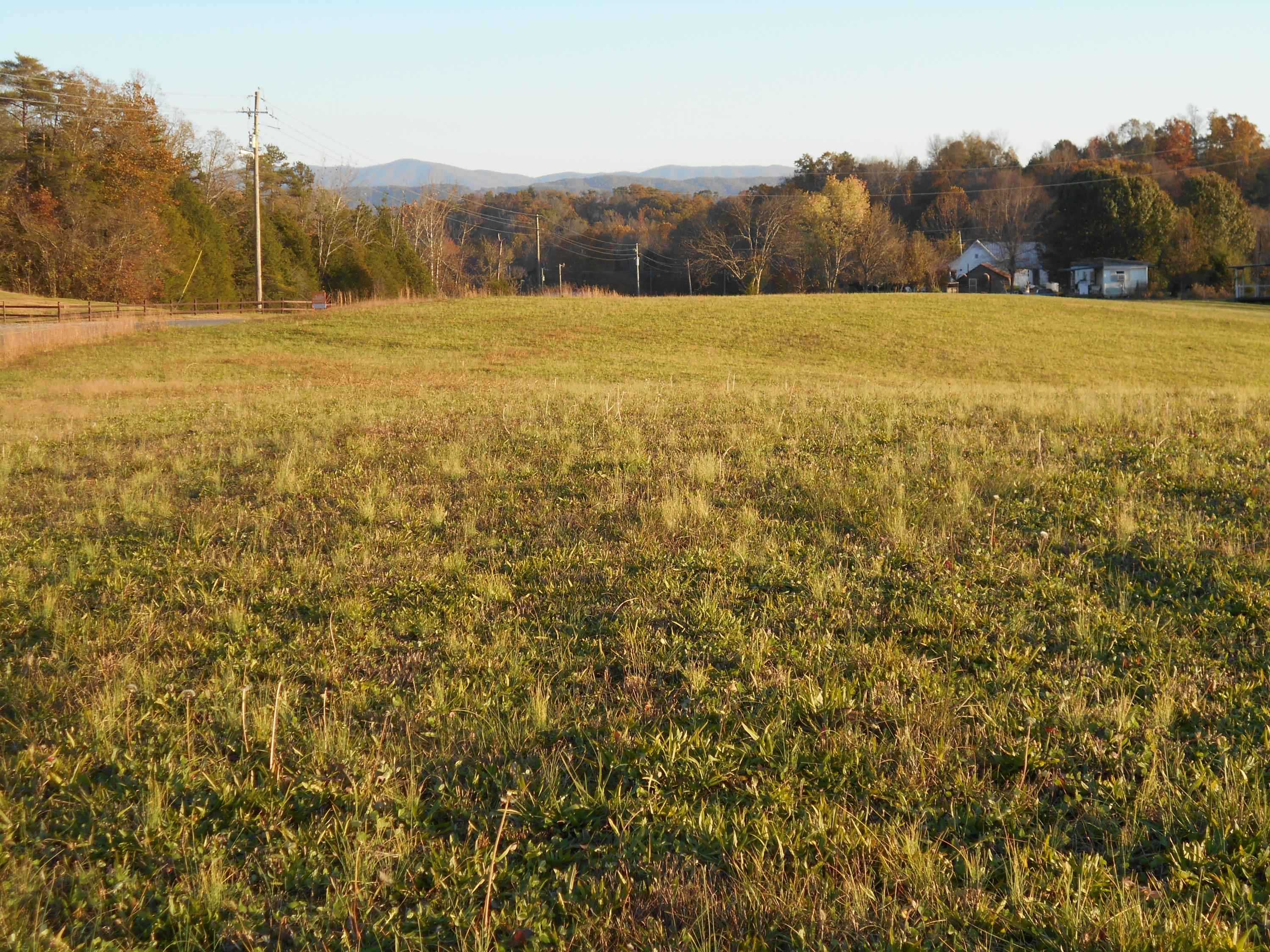 Lot # Shadden Road Tellico Plains, TN 37385 - Photo 8 of 17 DSCN3408