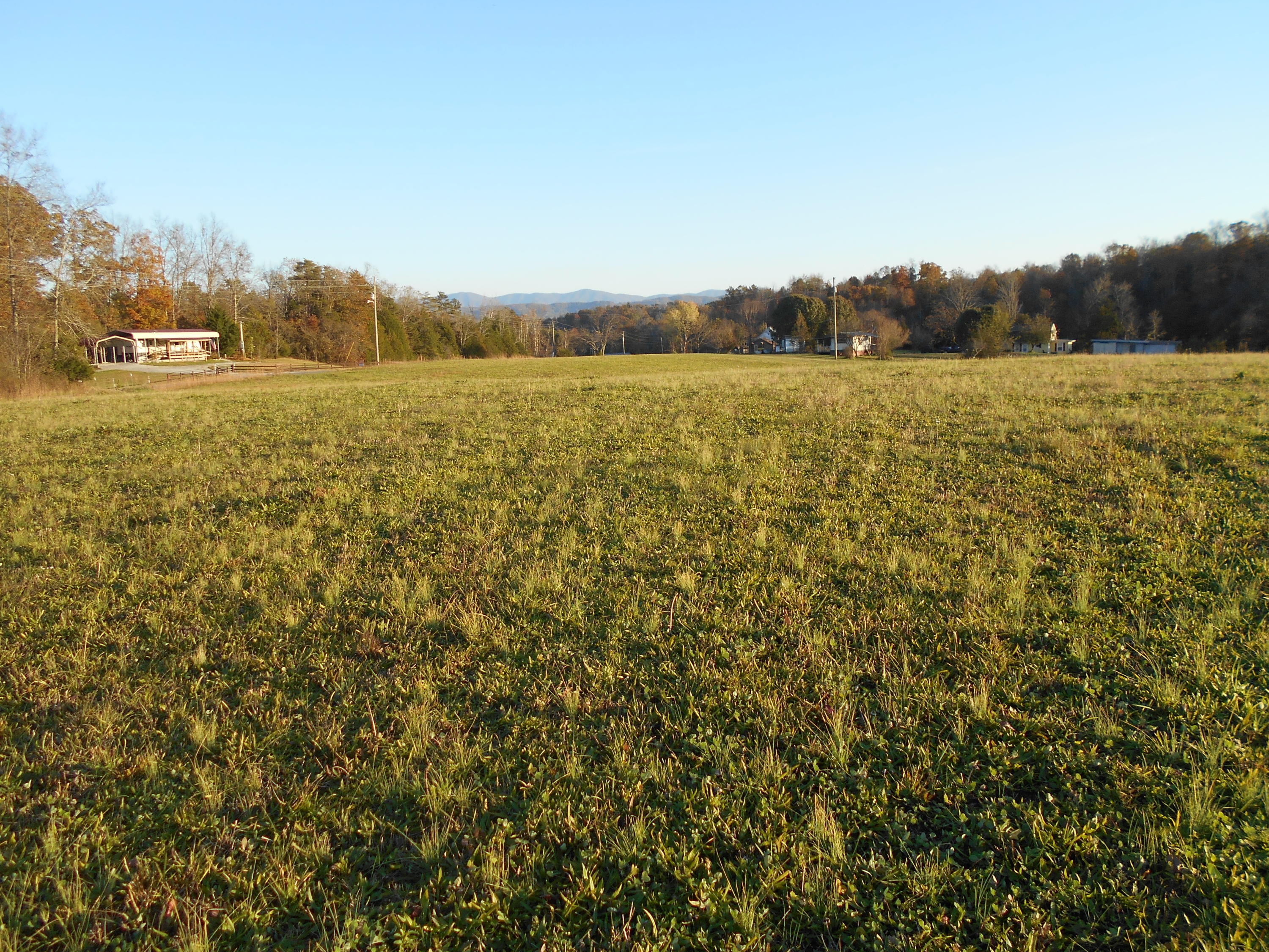 Lot # Shadden Road Tellico Plains, TN 37385 - Photo 9 of 17 DSCN3401