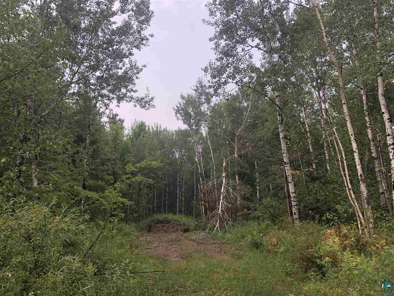 0 Raspotnik Road Mason, WI 54856 - Photo 1 of 12 Gallery Image 1
