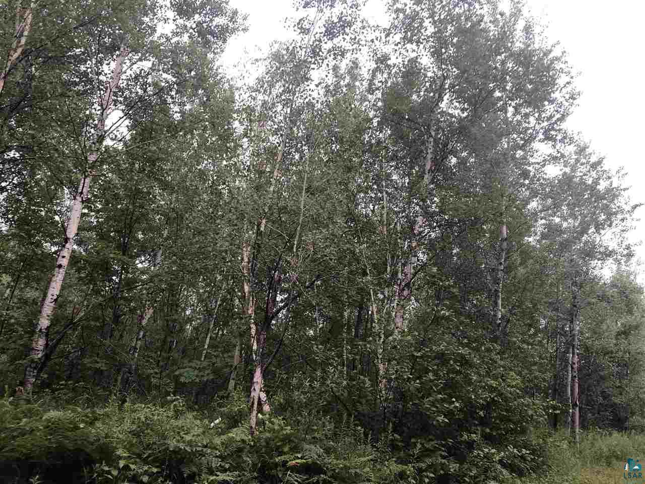 0 Raspotnik Road Mason, WI 54856 - Photo 11 of 12 Gallery Image 11