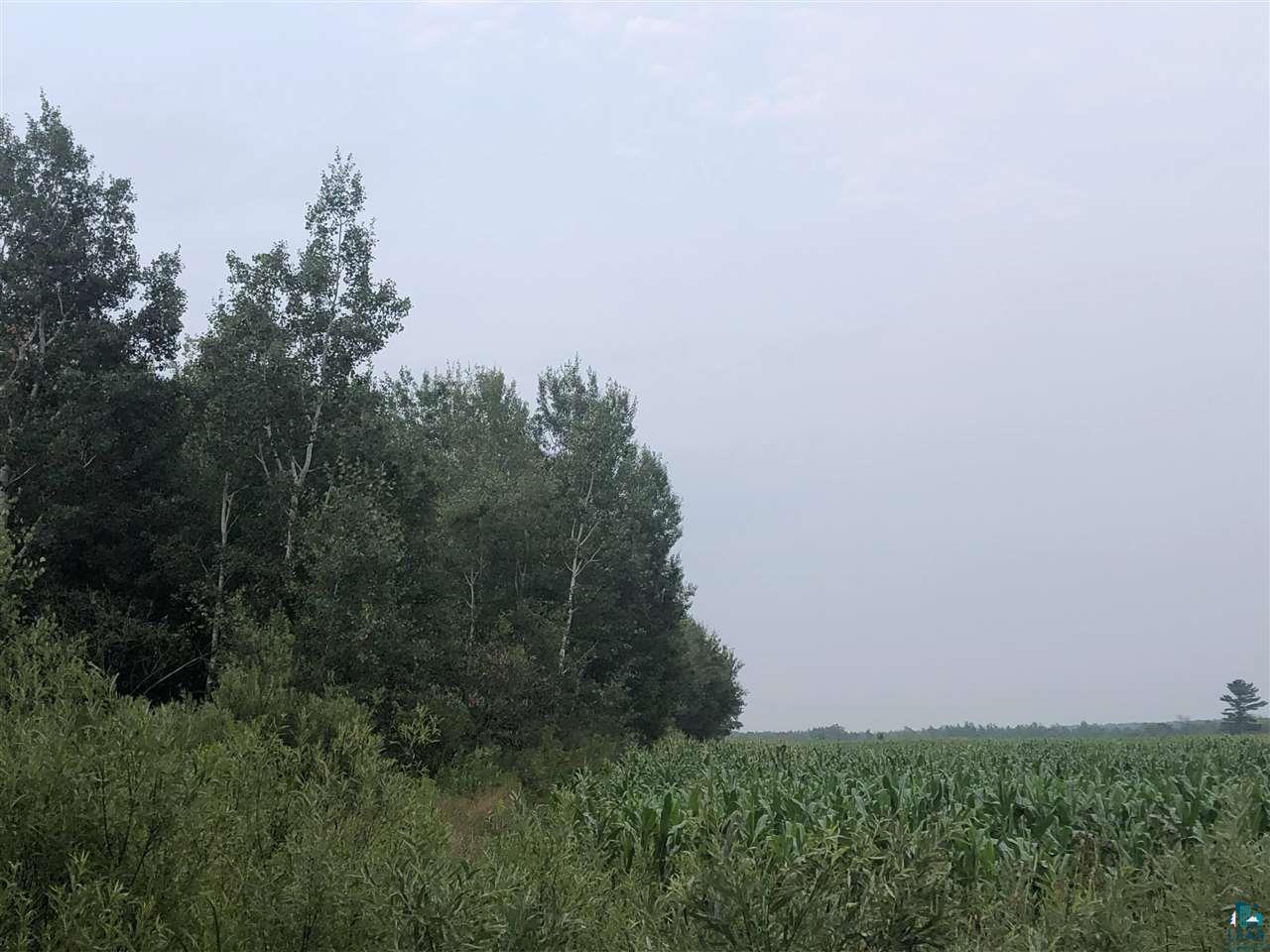 0 Raspotnik Road Mason, WI 54856 - Photo 12 of 12 Gallery Image 12