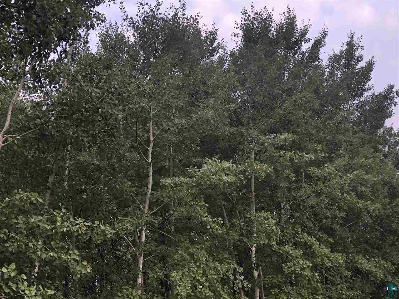 0 Raspotnik Road Mason, WI 54856 - Photo 6 of 12 Gallery Image 6