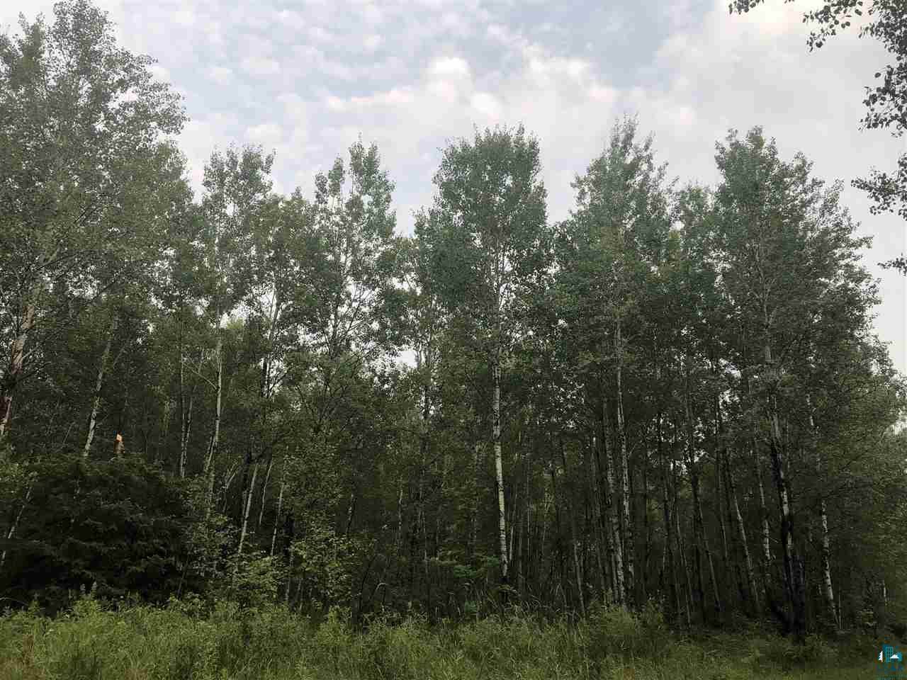 0 Raspotnik Road Mason, WI 54856 - Photo 7 of 12 Gallery Image 7