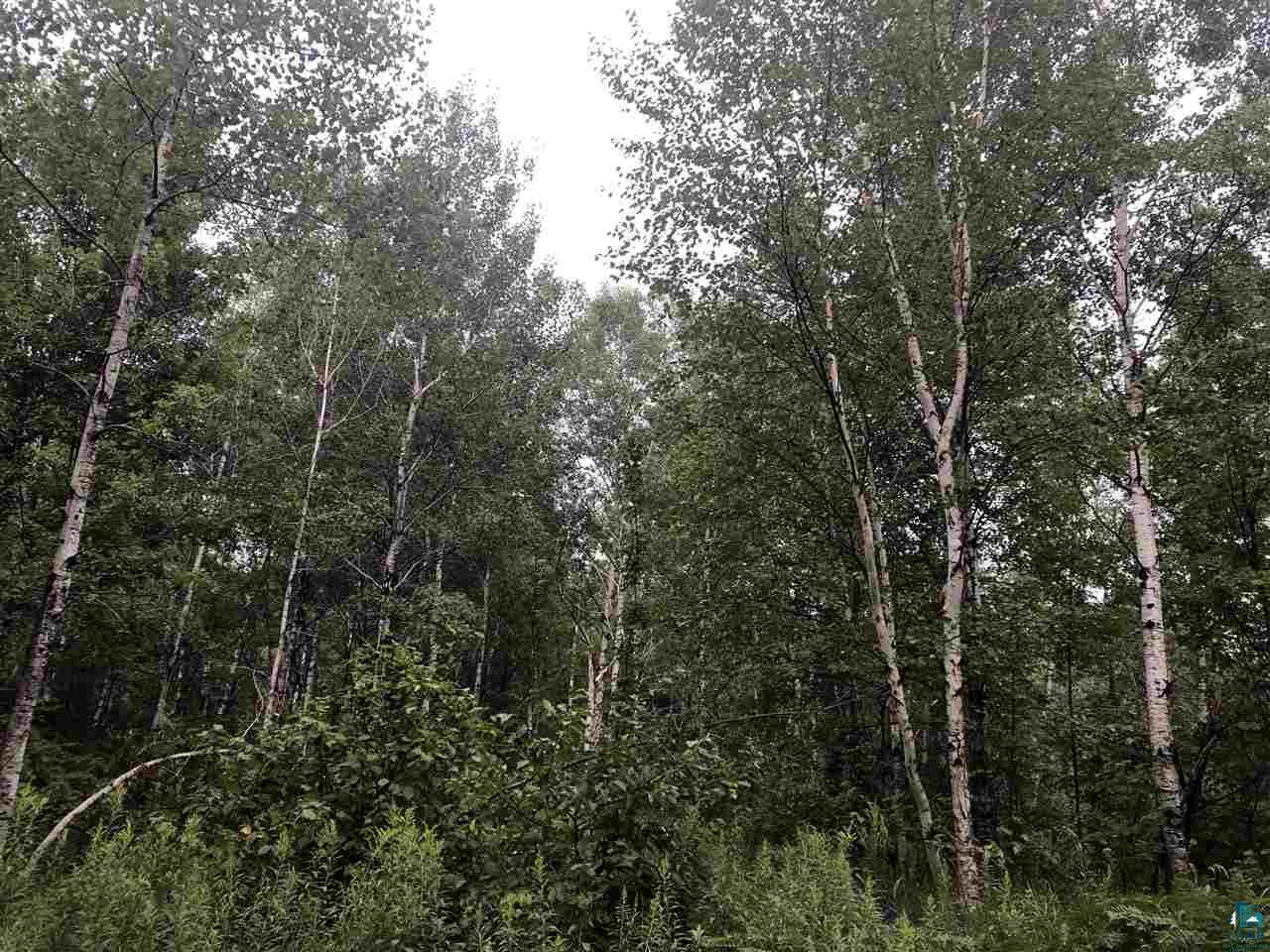 0 Raspotnik Road Mason, WI 54856 - Photo 10 of 12 Gallery Image 10