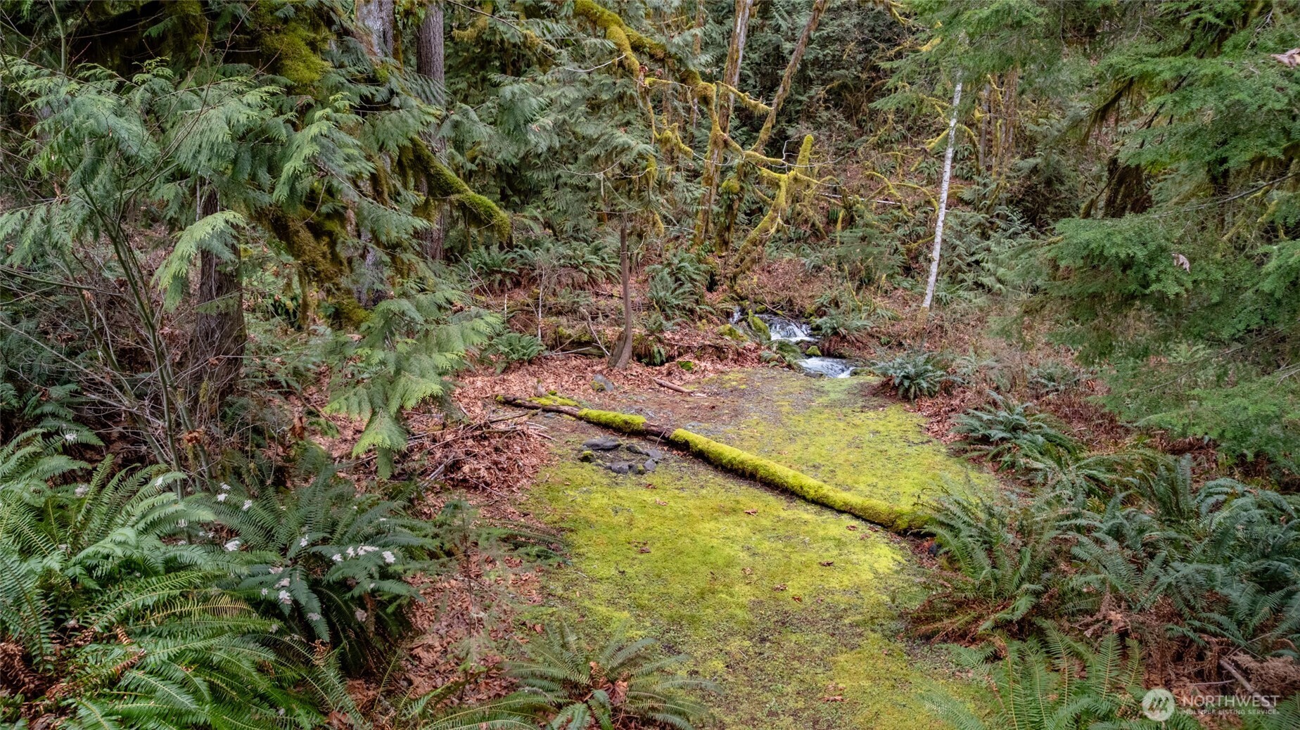 54843 Conrad Road Rockport, WA 98283 - Photo 30 of 40 Gallery Image 30