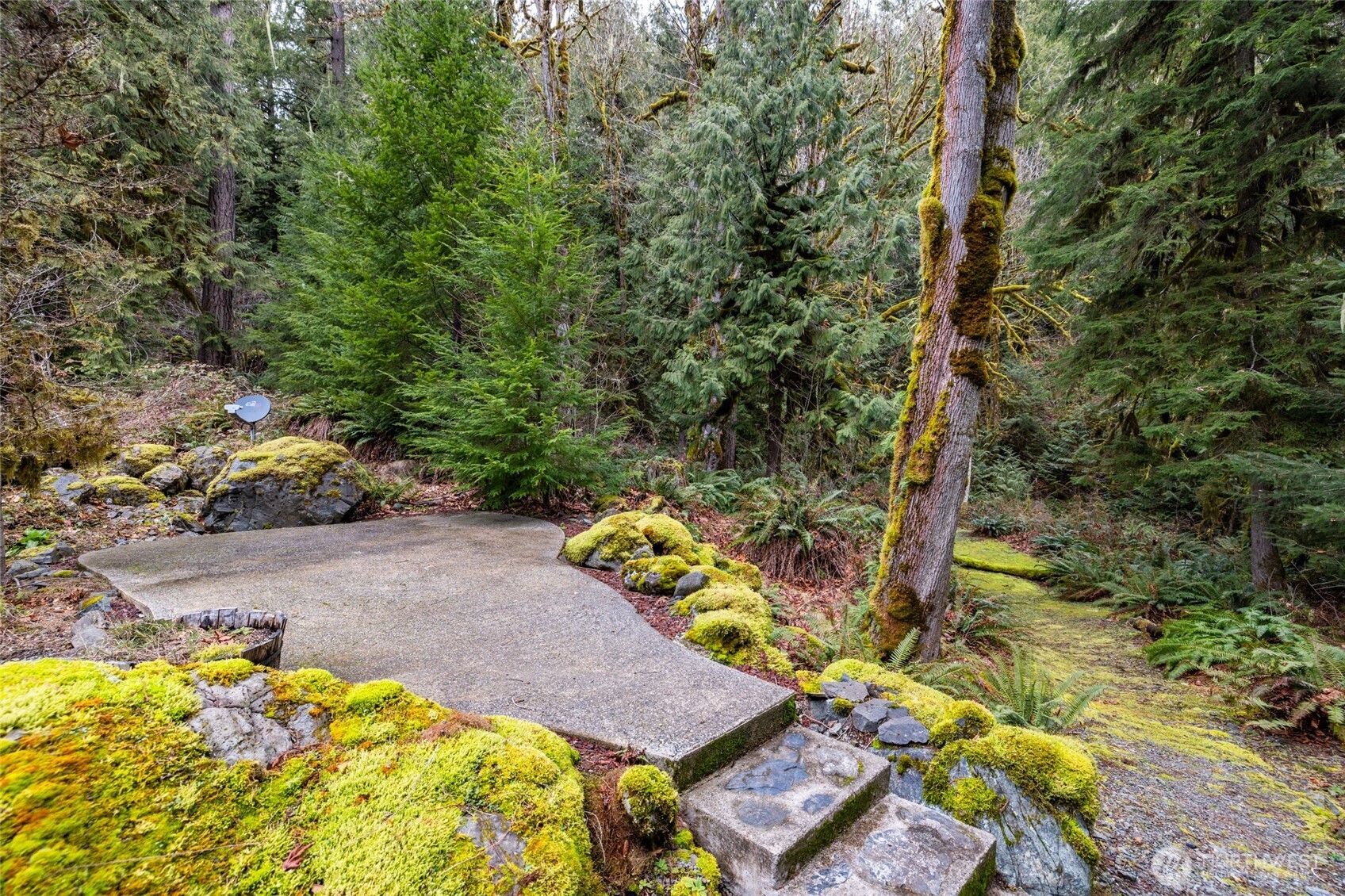 54843 Conrad Road Rockport, WA 98283 - Photo 31 of 40 Gallery Image 31