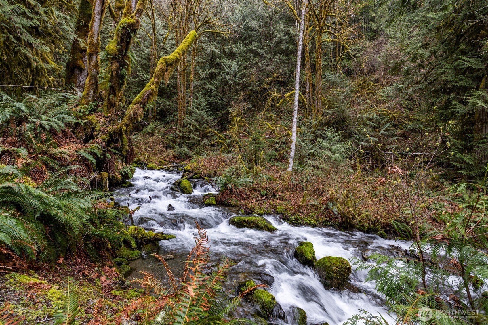 54843 Conrad Road Rockport, WA 98283 - Photo 34 of 40 Gallery Image 34