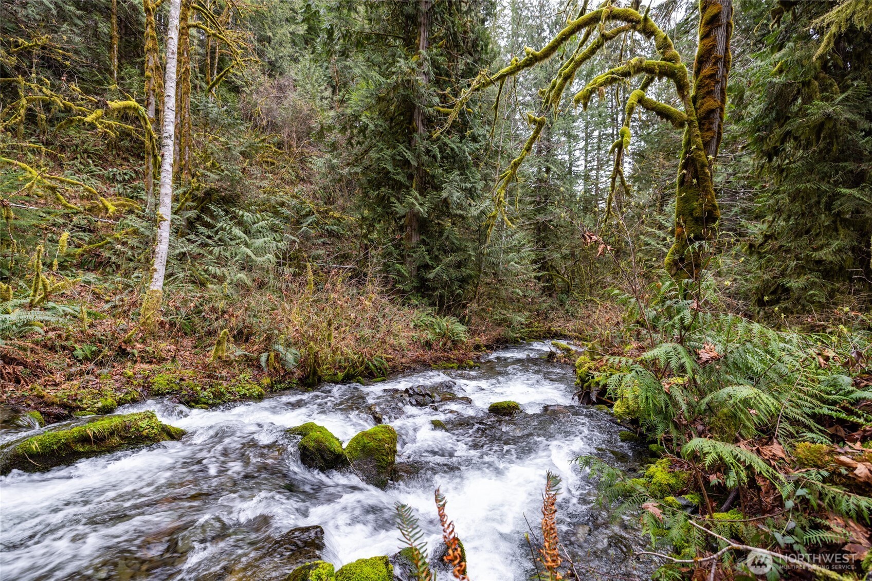54843 Conrad Road Rockport, WA 98283 - Photo 35 of 40 Gallery Image 35
