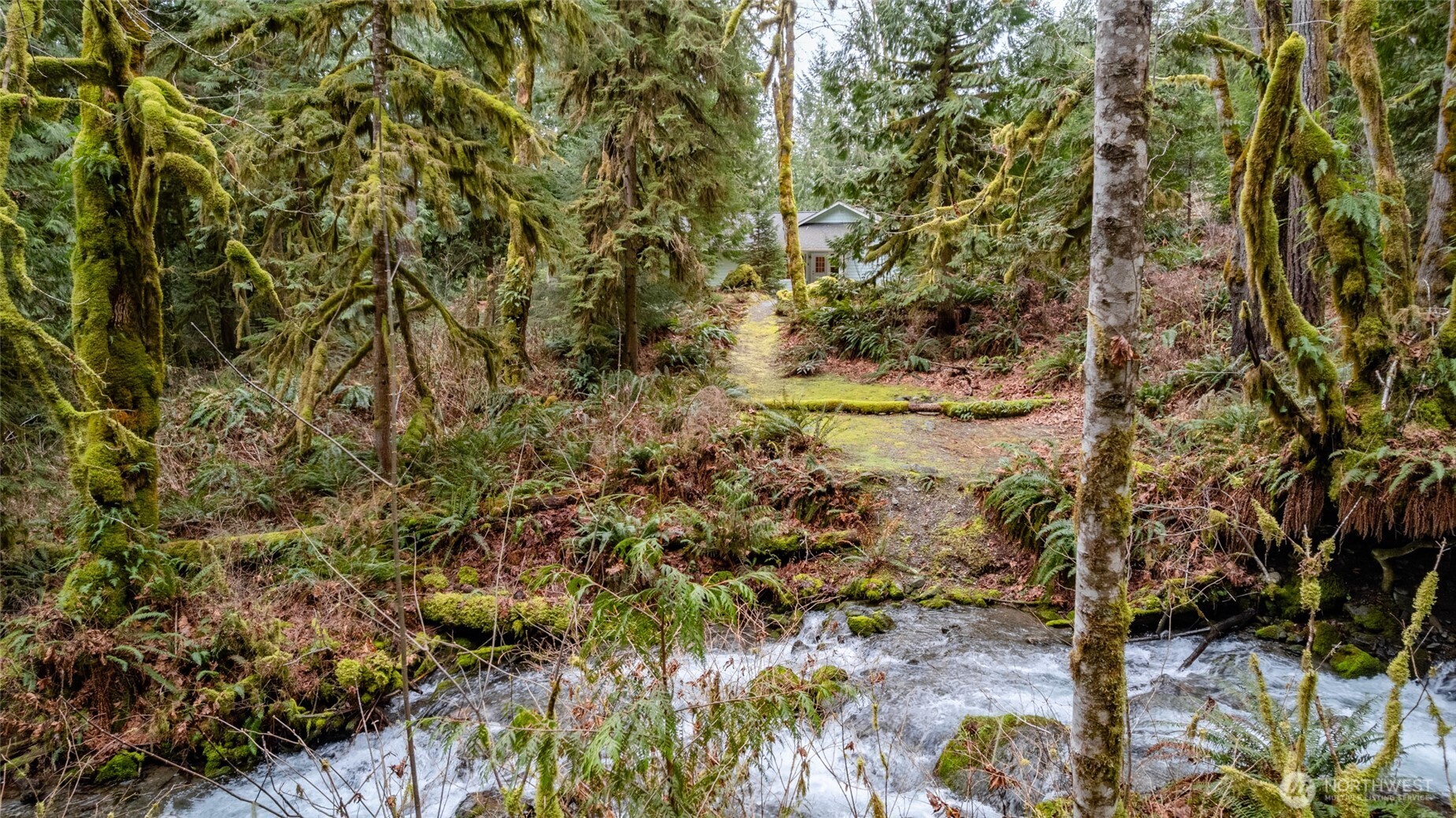 54843 Conrad Road Rockport, WA 98283 - Photo 36 of 40 Gallery Image 36