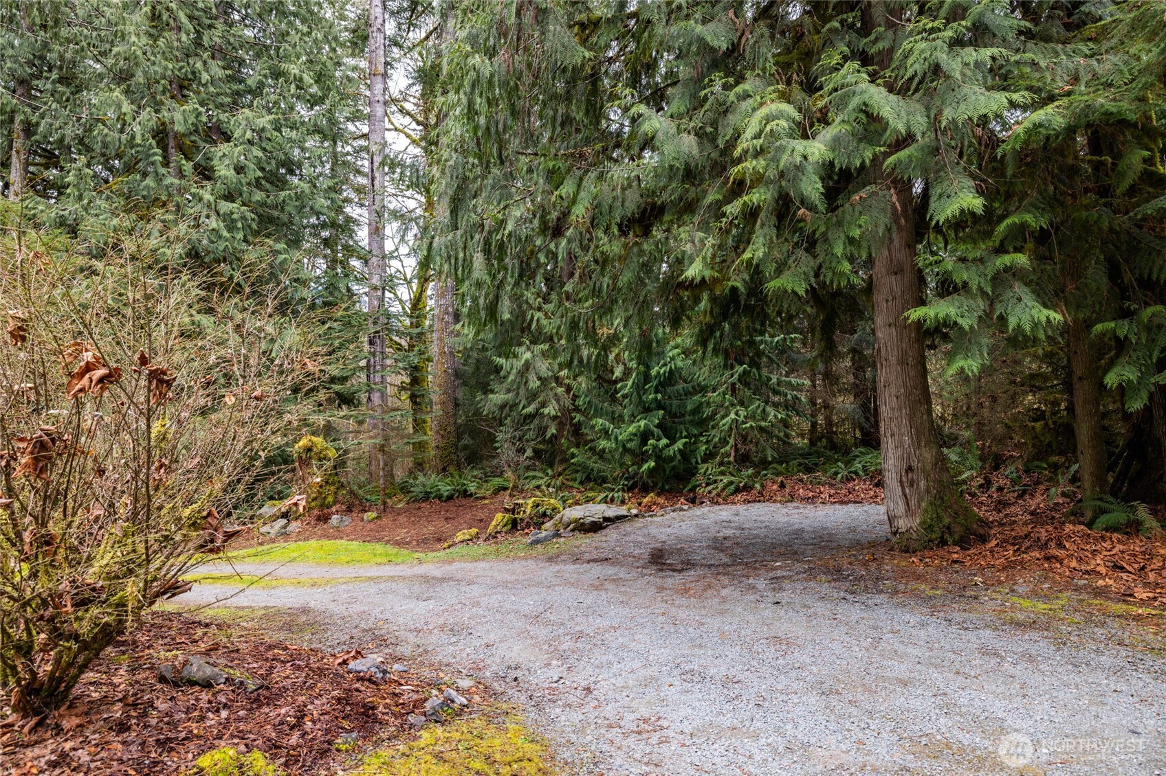 54843 Conrad Road Rockport, WA 98283 - Photo 39 of 40 Gallery Image 39