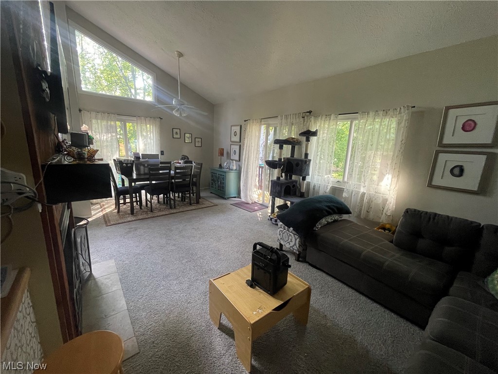 2408 Call Road, Unit 2B Stow, OH 44224 - Photo 21 of 32 Carpeted living room featuring lofted ceiling and a high ceiling