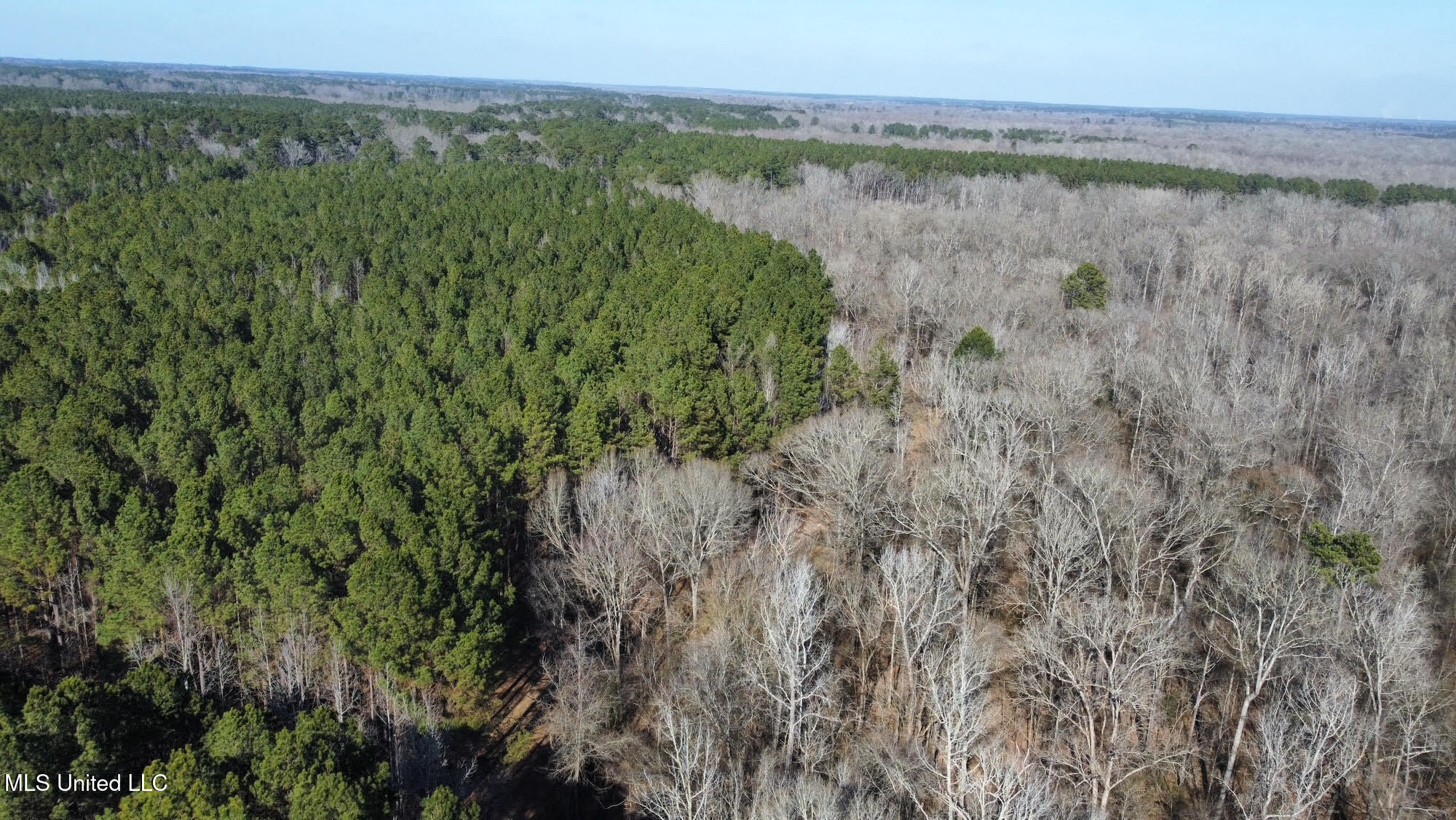 1 Evans Road Carthage, MS 39051 - Photo 102 of 149 128