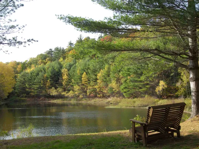 $323,900 | 20 B Wildflower Lane, Unit 2089792, Plymouth, NH 03264