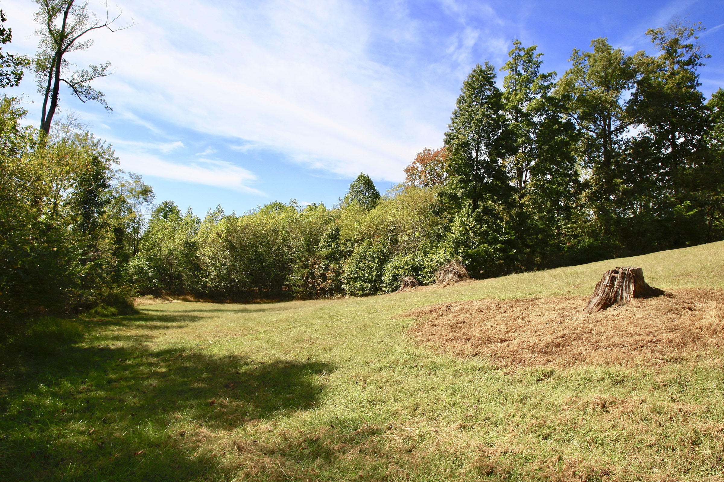 932 Ledbetter Road Rocky Mount, VA 24151 - Photo 44 of 45 _V4B2346