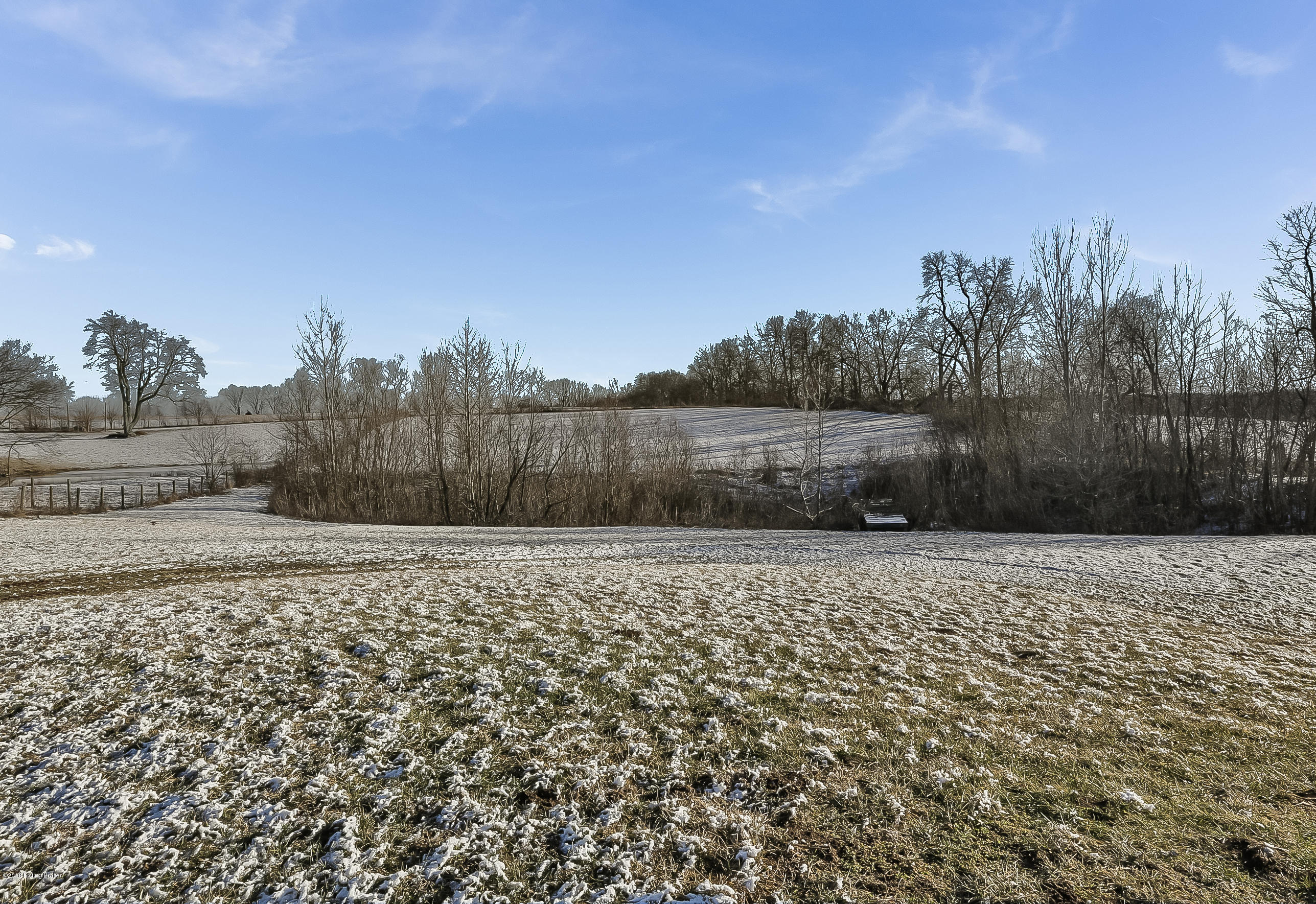 2769 Vigo Road Bagdad, KY 40003 - Photo 32 of 32 Back Yard