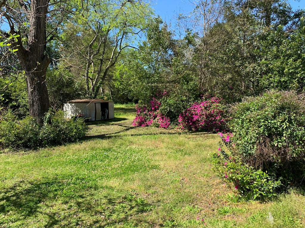 210 Cedar Street Denmark, SC 29042 - Photo 4 of 15 Photo 4