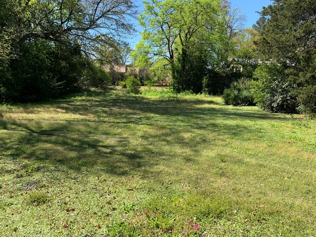 210 Cedar Street Denmark, SC 29042 - Photo 5 of 15 Photo 5