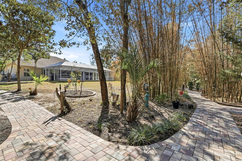 296 North Quartz Avenue Hernando, FL 34442 - Photo 57 of 66 a view of a park with tree s