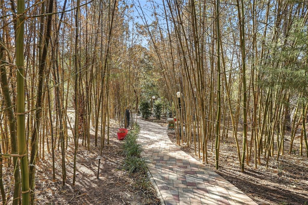 296 North Quartz Avenue Hernando, FL 34442 - Photo 58 of 66