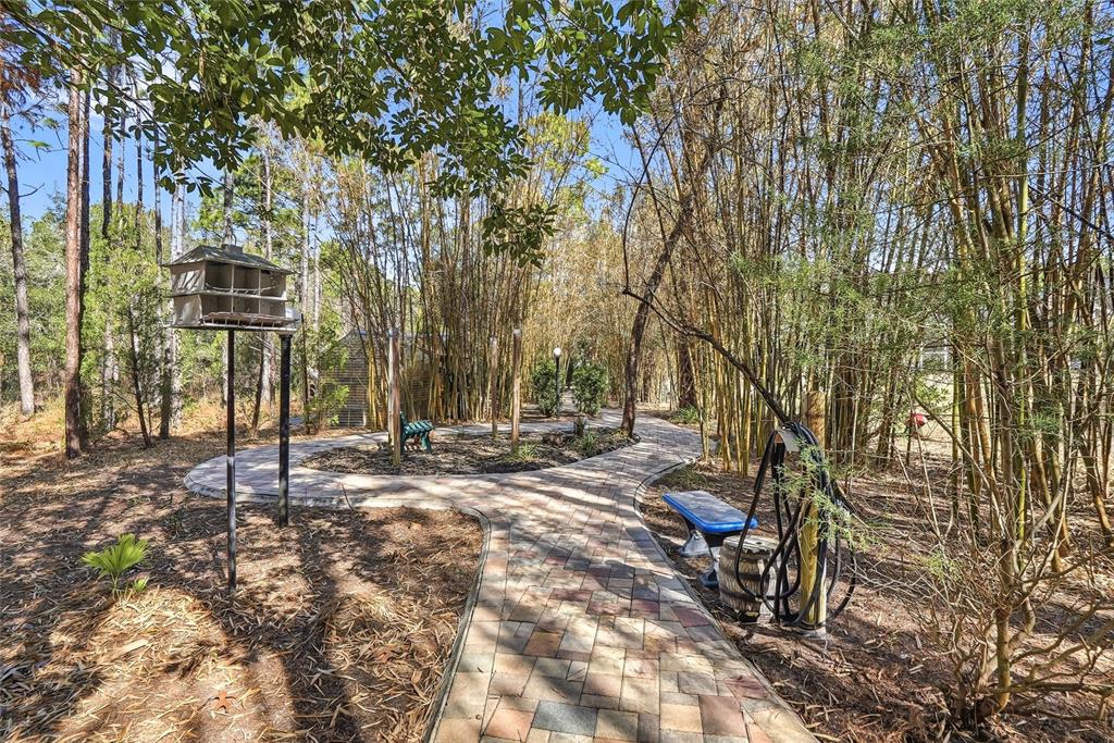 296 North Quartz Avenue Hernando, FL 34442 - Photo 60 of 66 a view of a park with large trees