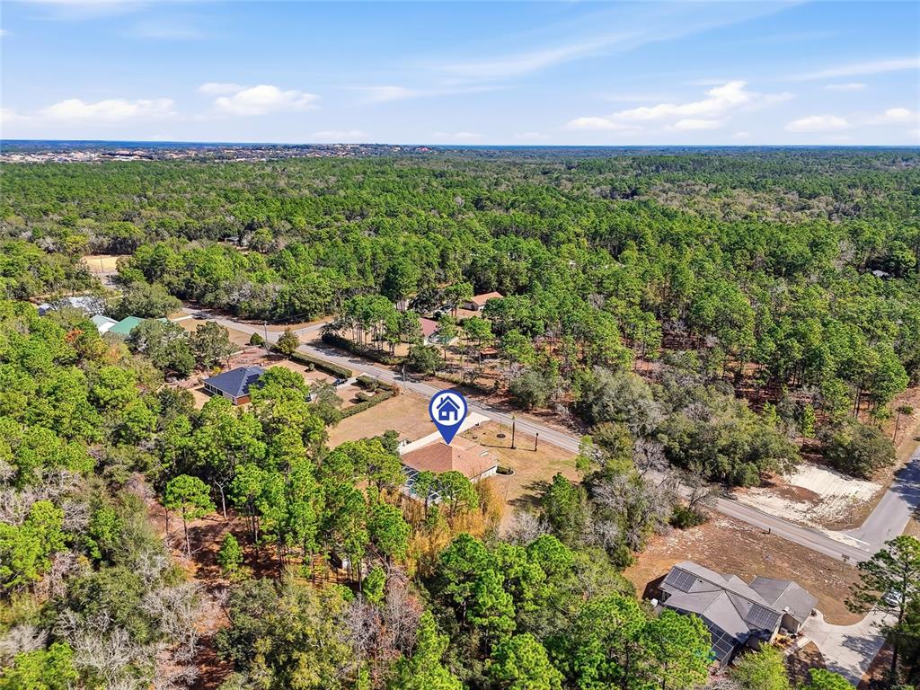 296 North Quartz Avenue Hernando, FL 34442 - Photo 63 of 66 an aerial view of a residential houses with outdoor space and trees all around