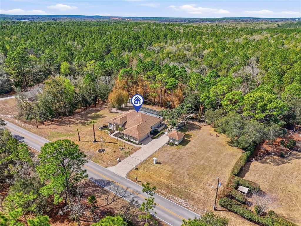 296 North Quartz Avenue Hernando, FL 34442 - Photo 64 of 66 a view of a backyard with plants and lake view