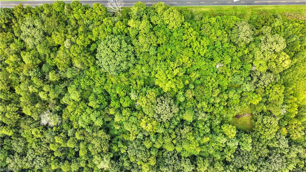 5424 Wild Turkey Road Whitsett, NC 27377 - Photo 15 of 22