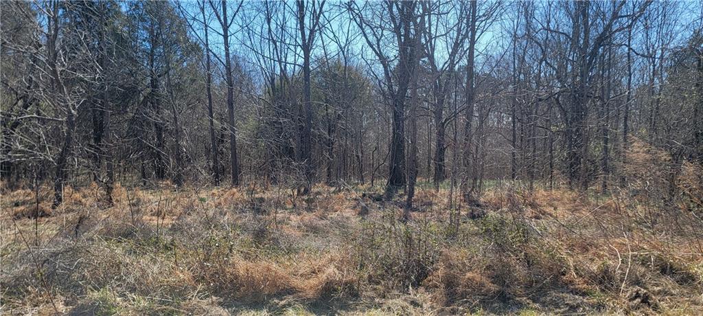 5424 Wild Turkey Road Whitsett, NC 27377 - Photo 3 of 22