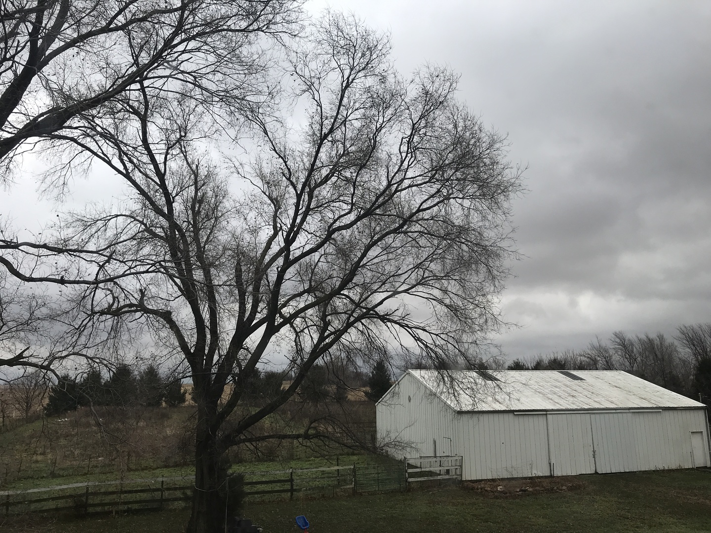 24562 Esmond Road Malta, IL 60150 - Photo 22 of 29 a view of white house with a yard