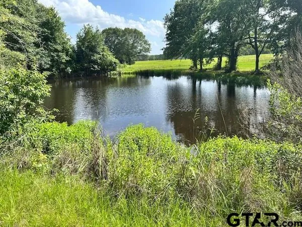 a body of water with a tree in the background