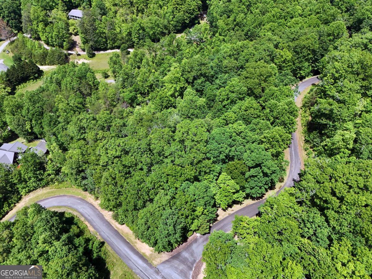 Lot 12 Hightower Ridge Hiawassee, GA 30546 - Photo 12 of 23