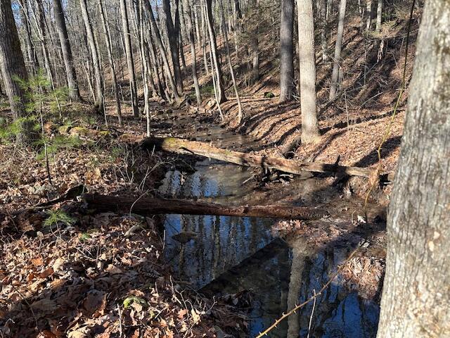 0 Hoot Owl Road New Castle, VA 24127 - Photo 4 of 6 00 Hoot Owl 4