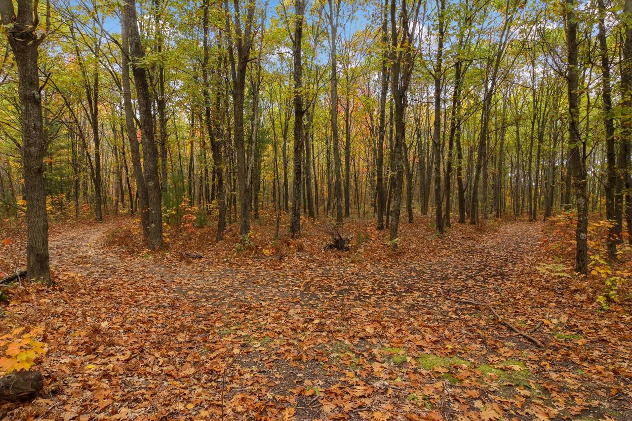 Parcel A Riley Road Interlochen, MI 49643 - Photo 10 of 16
