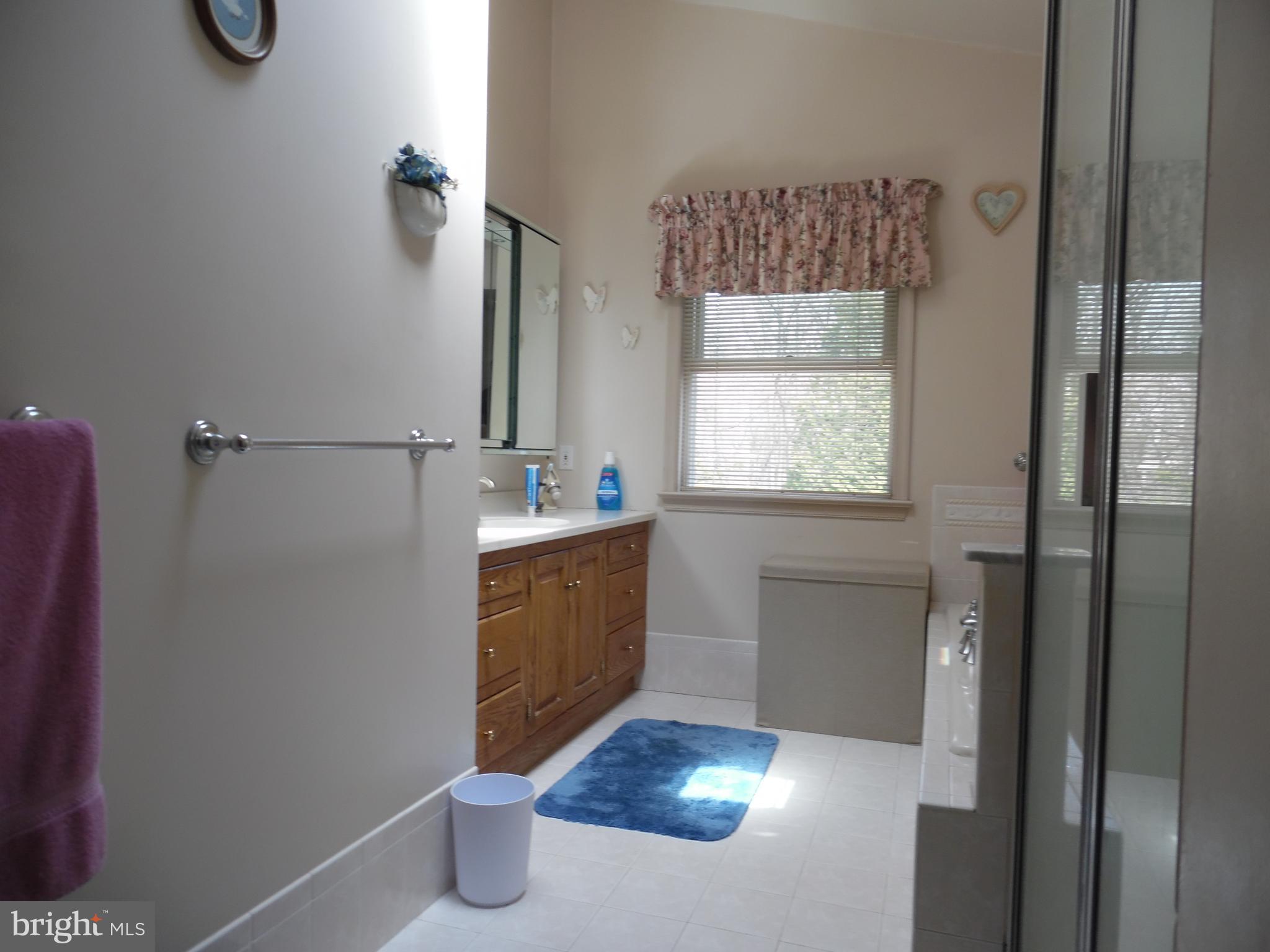 9 Roberts Road Malvern, PA 19355 - Photo 11 of 20 Large Master Bath