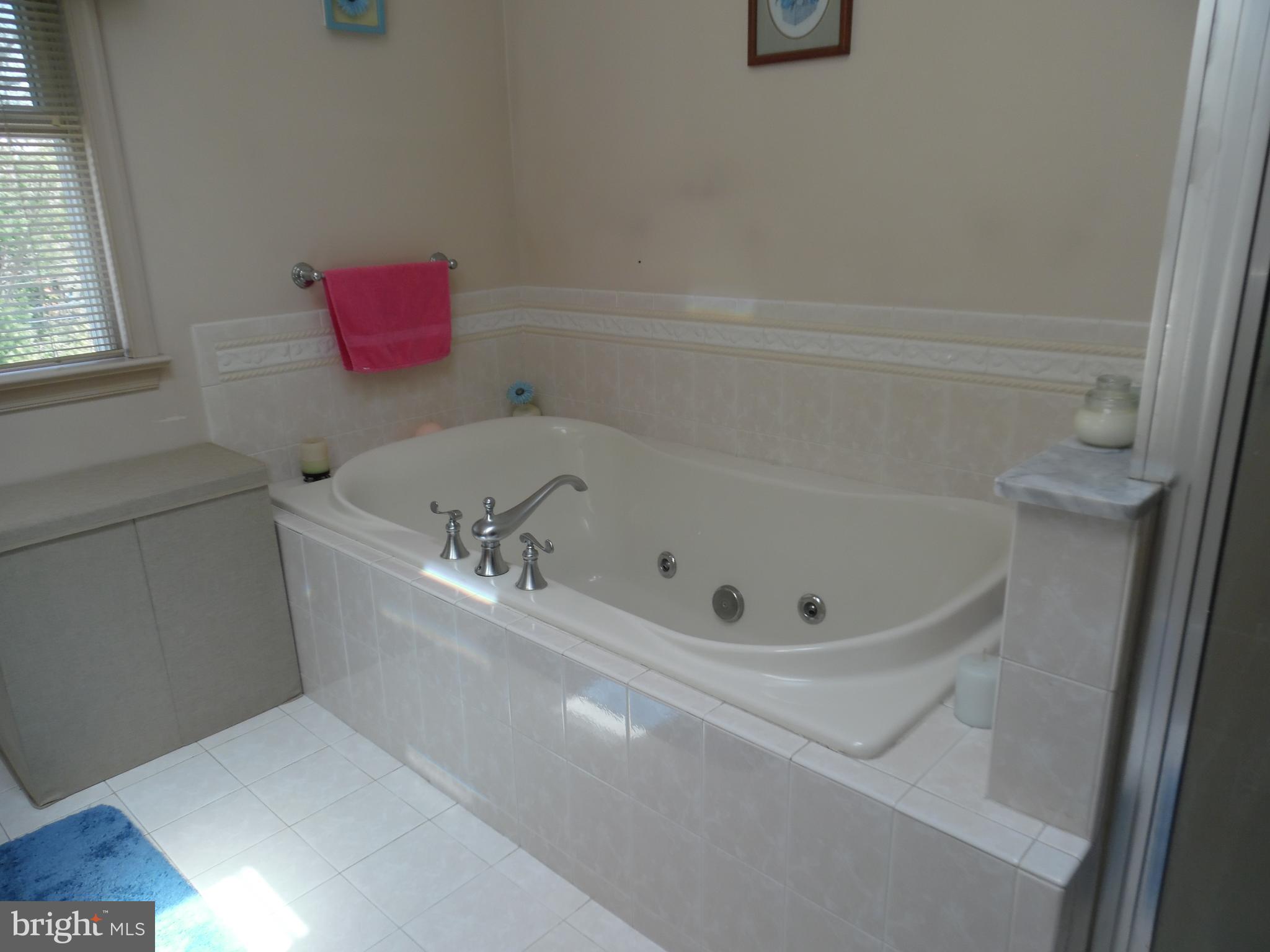 9 Roberts Road Malvern, PA 19355 - Photo 12 of 20 Soaking tub in Master Bath
