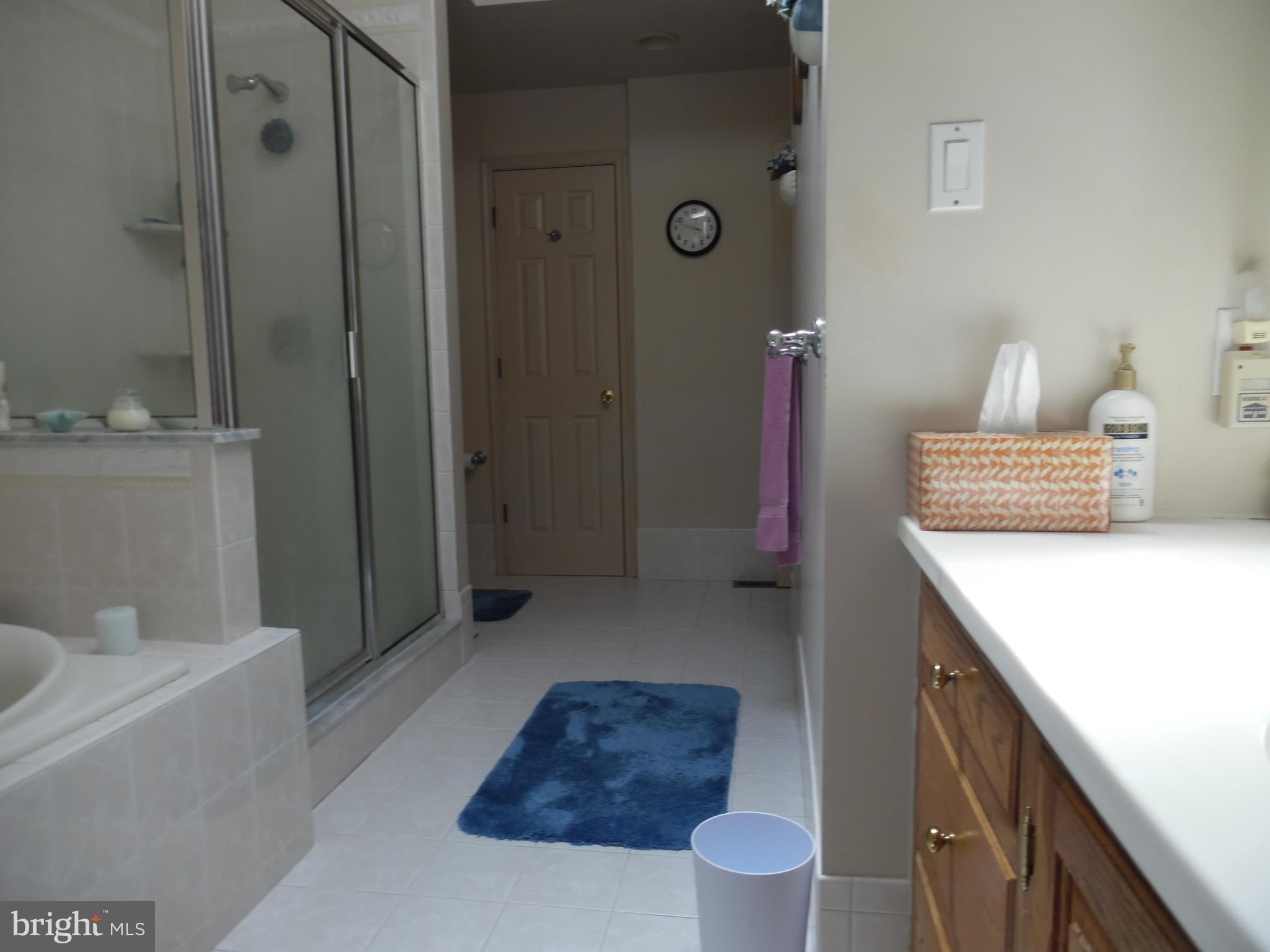 9 Roberts Road Malvern, PA 19355 - Photo 13 of 20 Master Bath