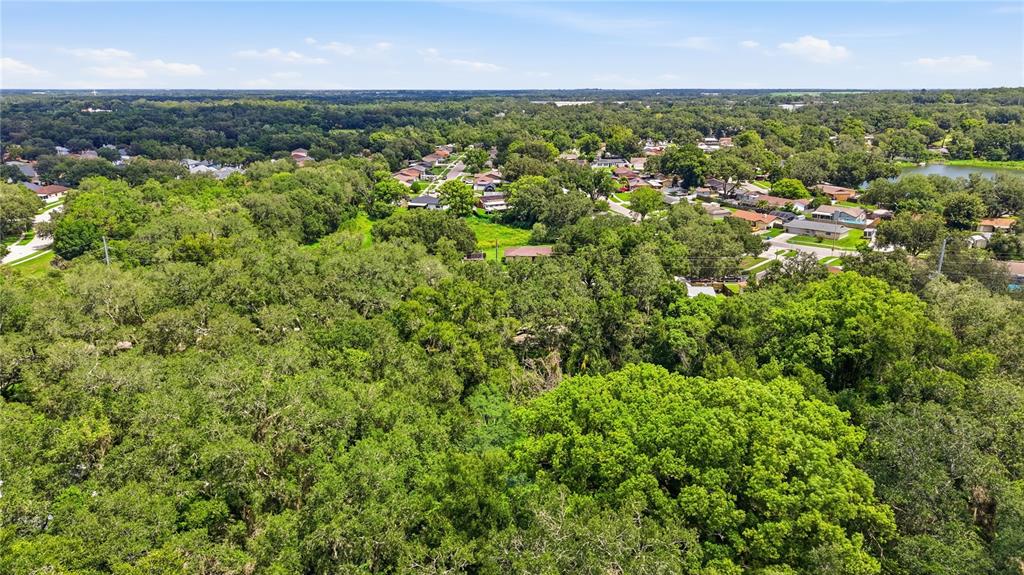 11211 Clay Pit Road Seffner, FL 33584 - Photo 3 of 23