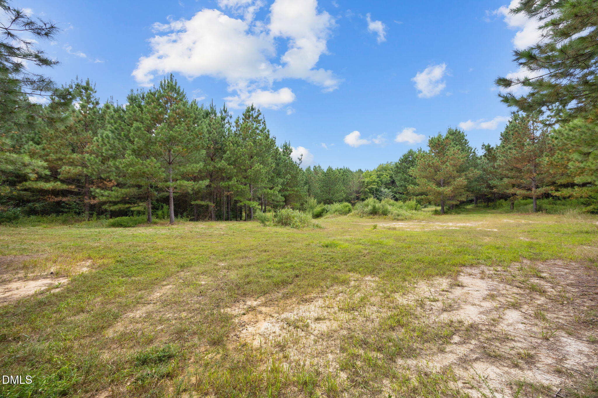 Lot 4 Wolf Tree Way Efland, NC 27243 - Photo 5 of 5 Cleared Area
