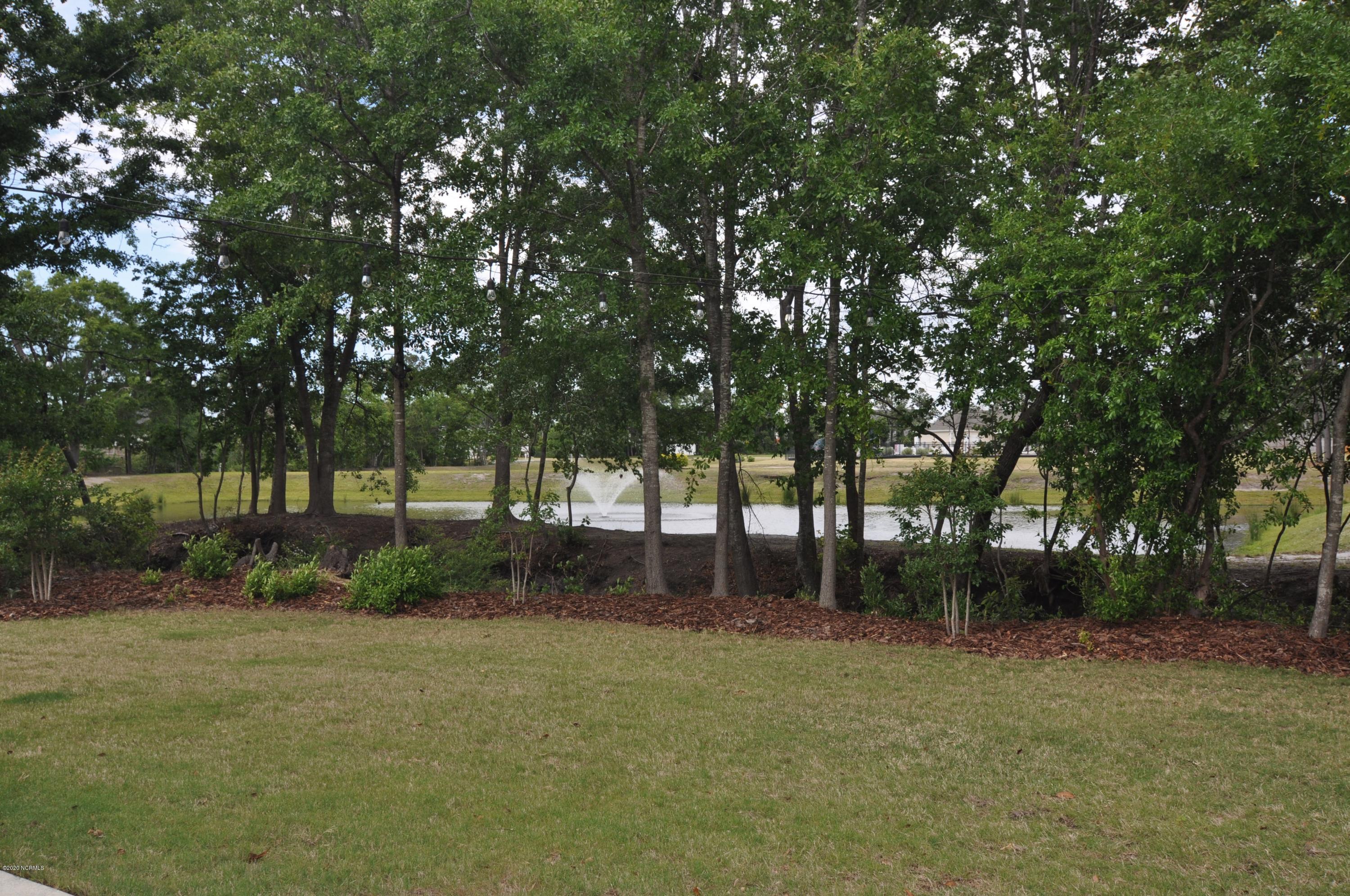 6025 Tarin Road Wilmington, NC 28409 - Photo 14 of 32 Backyard