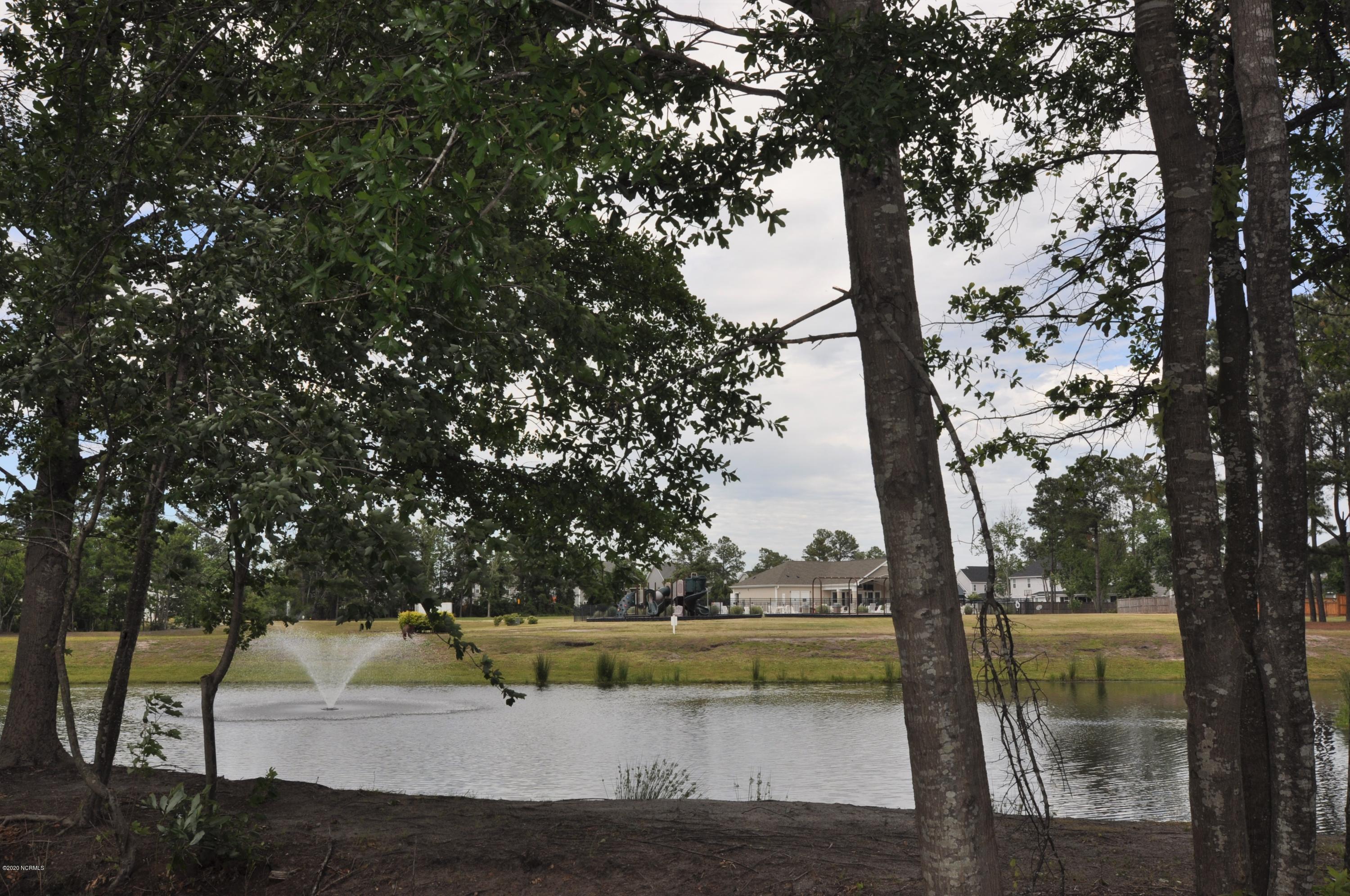6025 Tarin Road Wilmington, NC 28409 - Photo 15 of 32 Backyard View Pond/Fountain