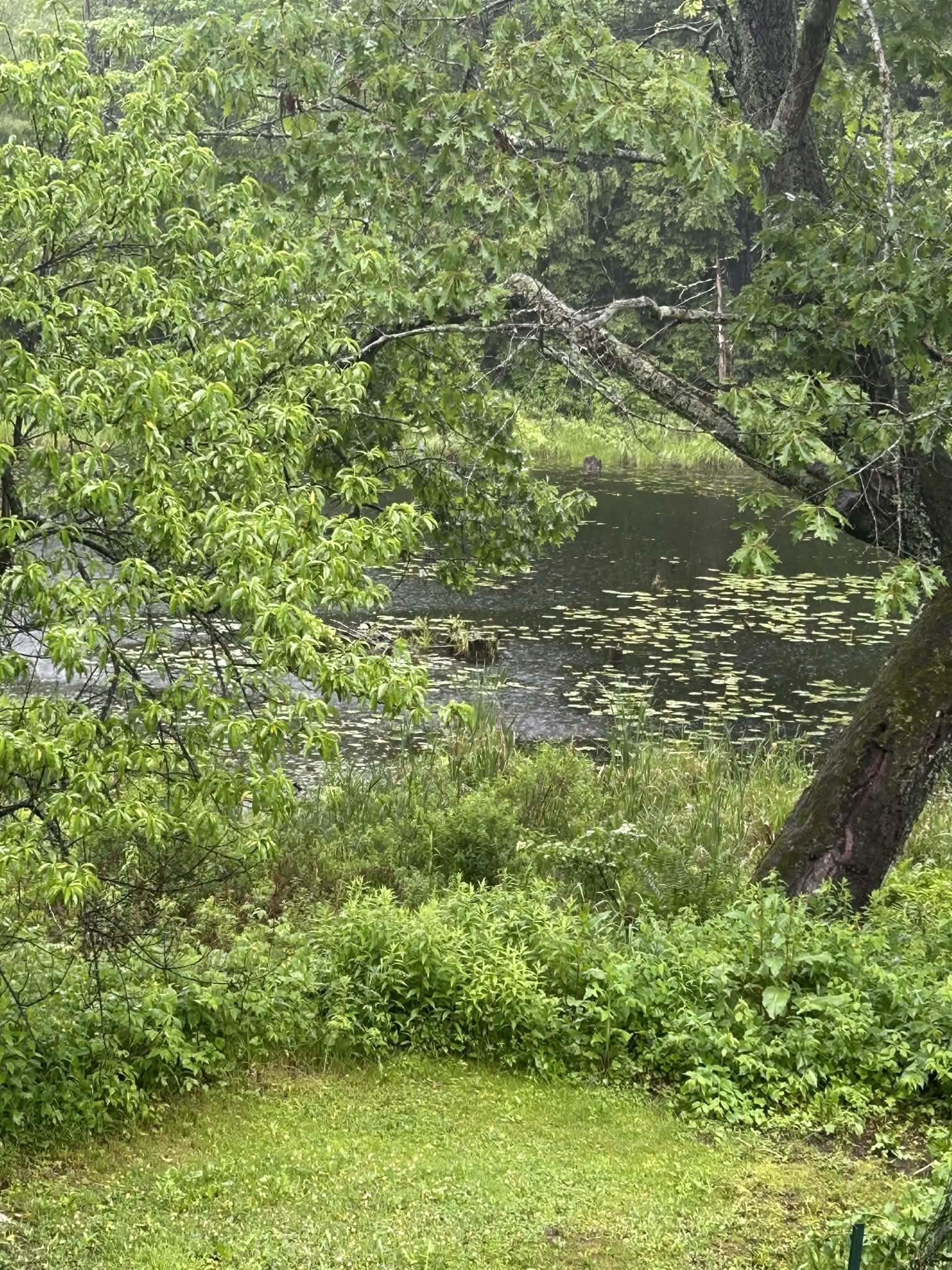 17 Prospect Mountain Road Alton, NH 03809 - Photo 9 of 44