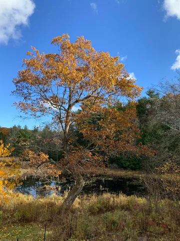 $729,900 | 17 Prospect Mountain Road, Alton, NH 03809