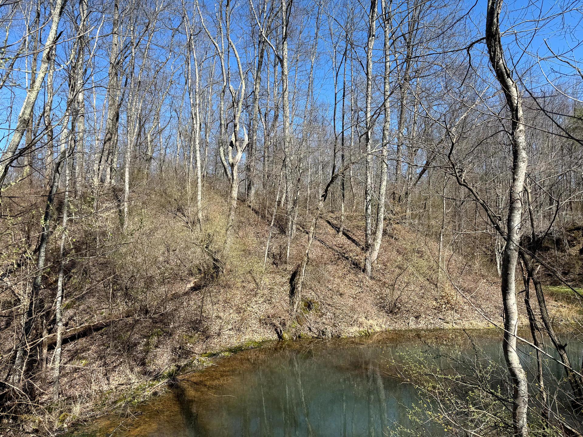 0 Dutch Ridge Road Southeast, Unit WOODS TURKEY RUN TRACT 6) New Lexington, OH 43764 - Photo 25 of 31 CT-25