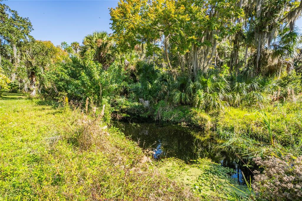 689 Eagle Watch Road Oak Hill, FL 32759 - Photo 31 of 32 a backyard of a house with lots of green space and chair