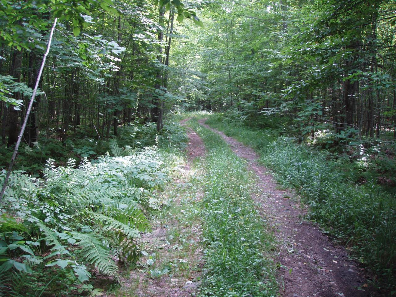 Off Bear Lake Road, Unit 40 / A Butternut, WI 54514 - Photo 6 of 9 Gallery Image 6