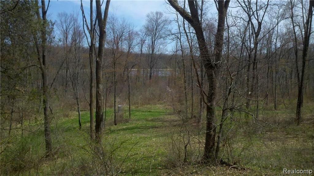 V/l V/l Doyle Road Pinckney, MI 48169 - Photo 11 of 24