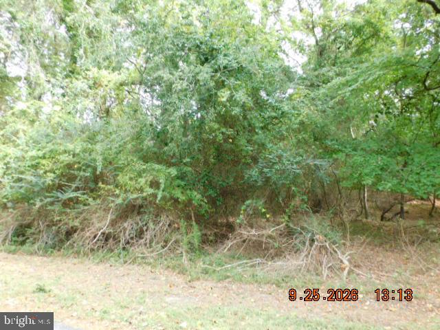 100 Roland Parks Road Chance, MD 21821 - Photo 4 of 7 Gallery Image 4