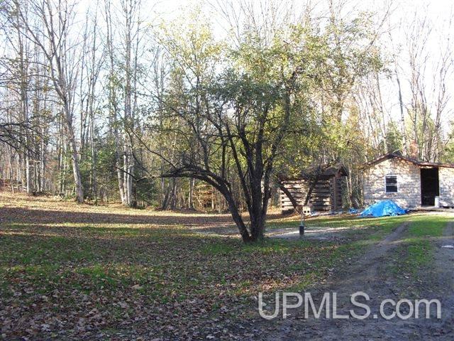 Tbd Country Lane Road Eben Junction, MI 49825 - Photo 3 of 21