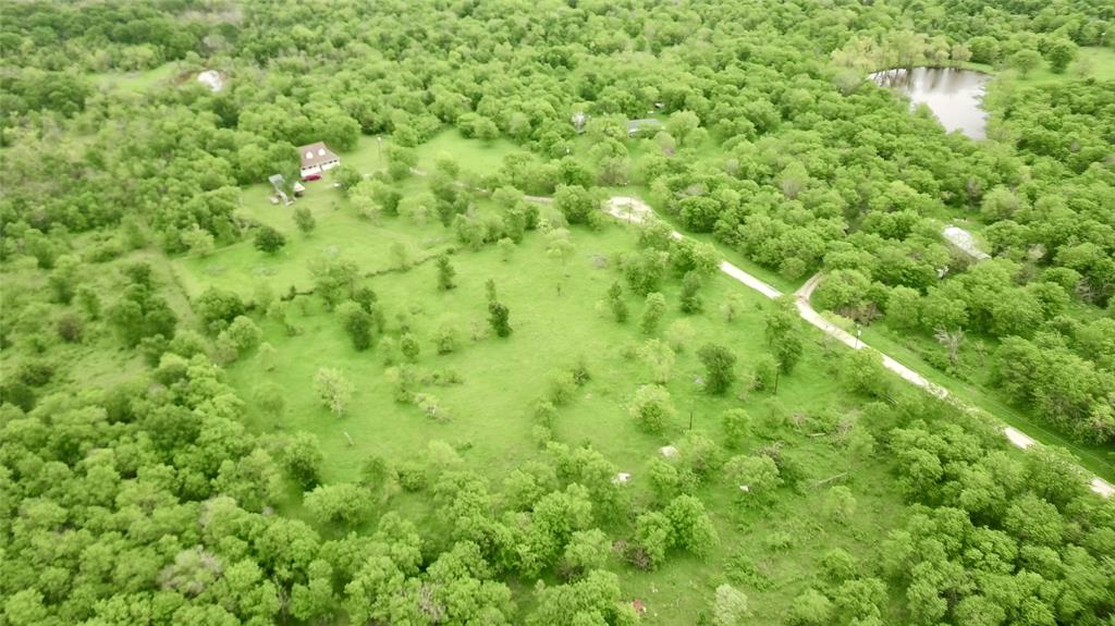 4909 Southwest County Road 2397 Wortham, TX 76693 - Photo 5 of 15 a view of a lush green forest with lots of trees